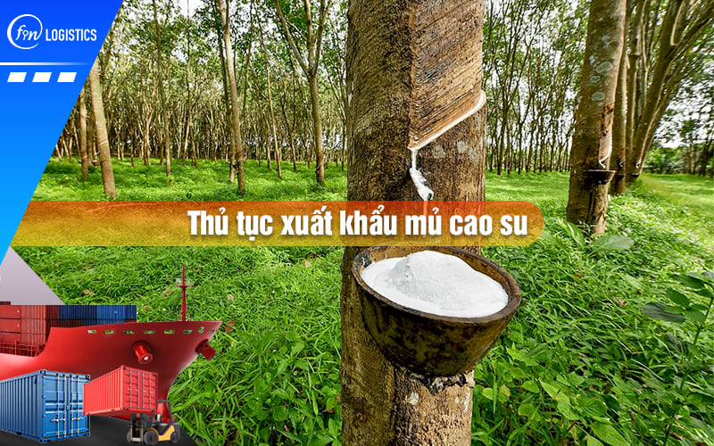 Hướng dẫn các bước làm thủ tục xuất khẩu mủ cao su đi nước ngoài mới nhất